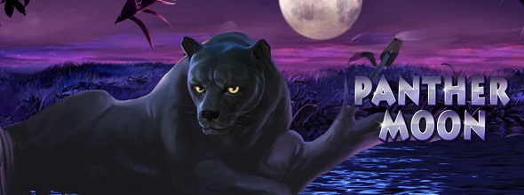 Online hrací automat Panther Moon