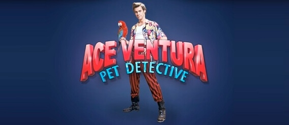 Online hrací automat Ace Ventura