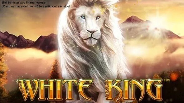Vyzkoušejte si hru White King
