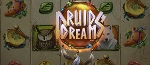 Výherní automat Druid’s Dream