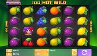 100 Hot Wild