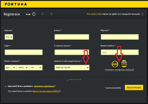 Casino Fortuna Vegas návod na registraci - 2