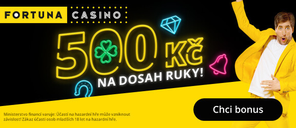 Fortuna: kočky a letadla rozdaly 400 a 177 tisíc!