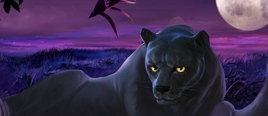 Online hrací automat Panther Moon