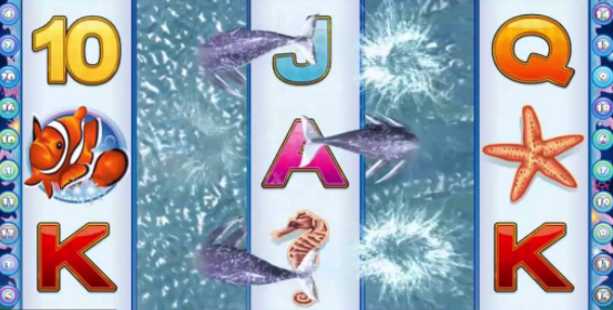 Dolphin Reef - automat