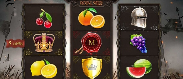 Hrací automat Royal Wild