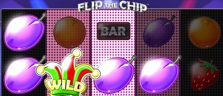 Hrací automat Flip the Chip