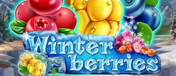 Winterberrries - recenze online automatu