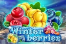 Winterberrries - recenze online automatu