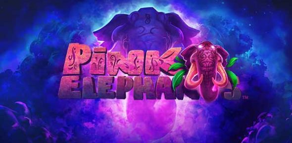 Pink Elephants - recenze automatu