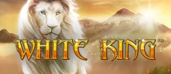 Výhra na White King u Fortuny