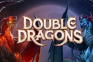 Double Dragons - recenze