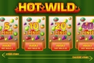Hrací automat Hot Wild
