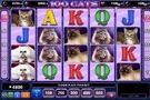 Výherní automat 100 Cats od EGT