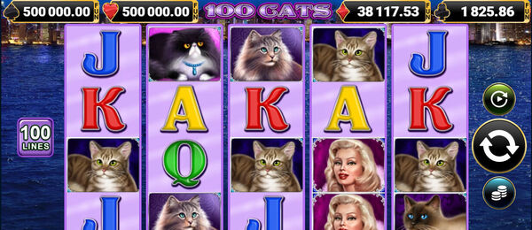 Zahrajte si výherní automat 100 Cats