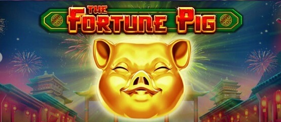Automat The Fortune Pig