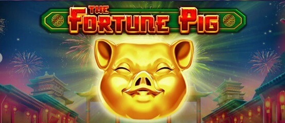 Automat The Fortune Pig