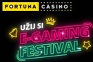 E-gaming festival u Fortuny