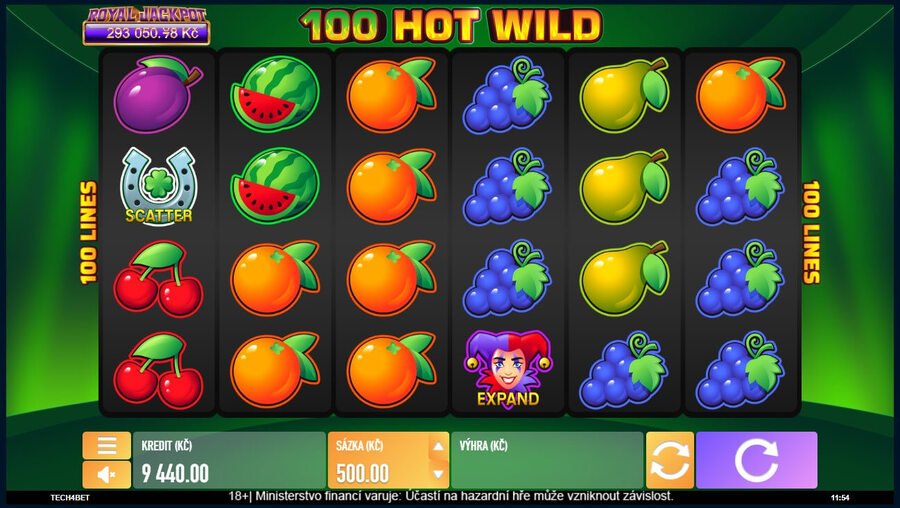 Chance casino: automat 100 Hot Wild