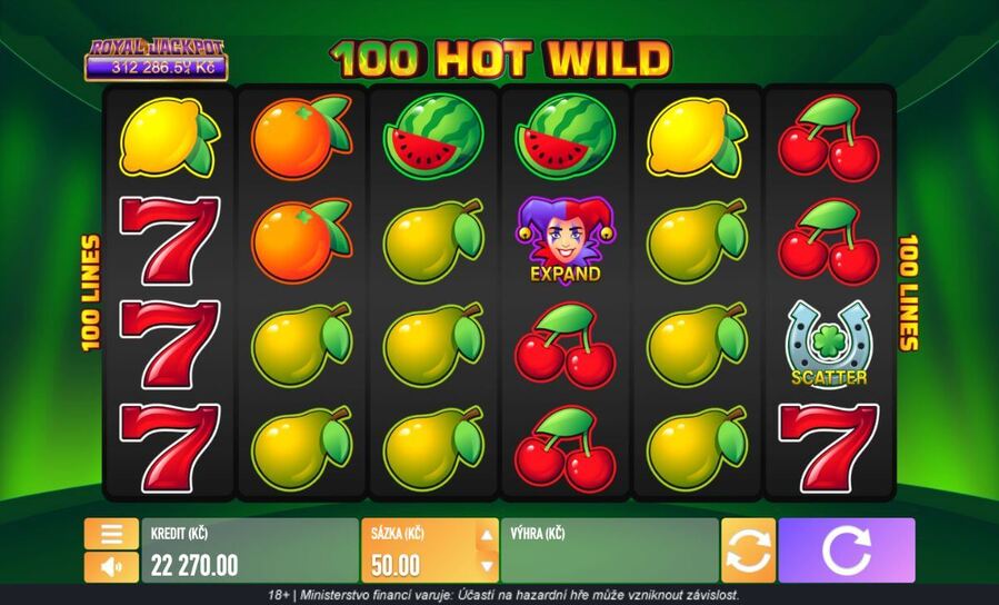 100 Hot Wild