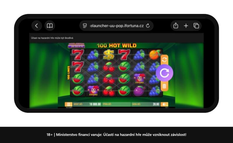 Nejvýhernější automat 100 Hot Wild