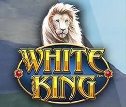 Hrací automat White King Hrací automat White King