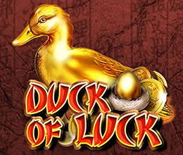 Duck of Luck