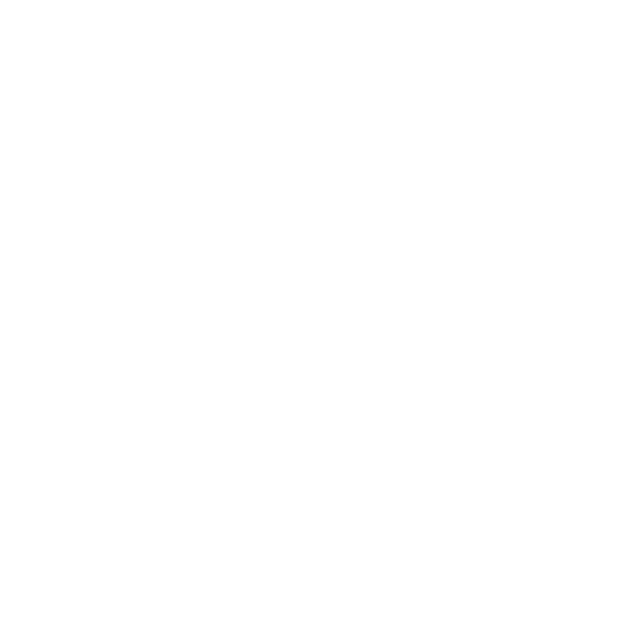icon-zh-white